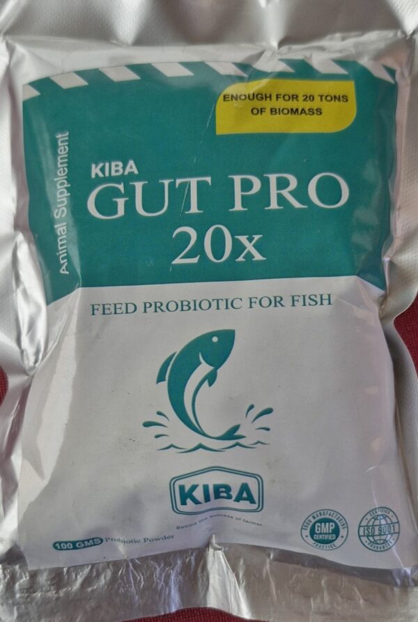 Gut Pro 20x (Powerful Gut Probiotic)